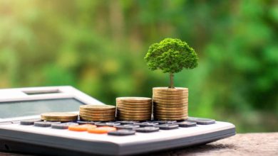 Coast FIRE Retirement Achieving Financial Independence Without Stress