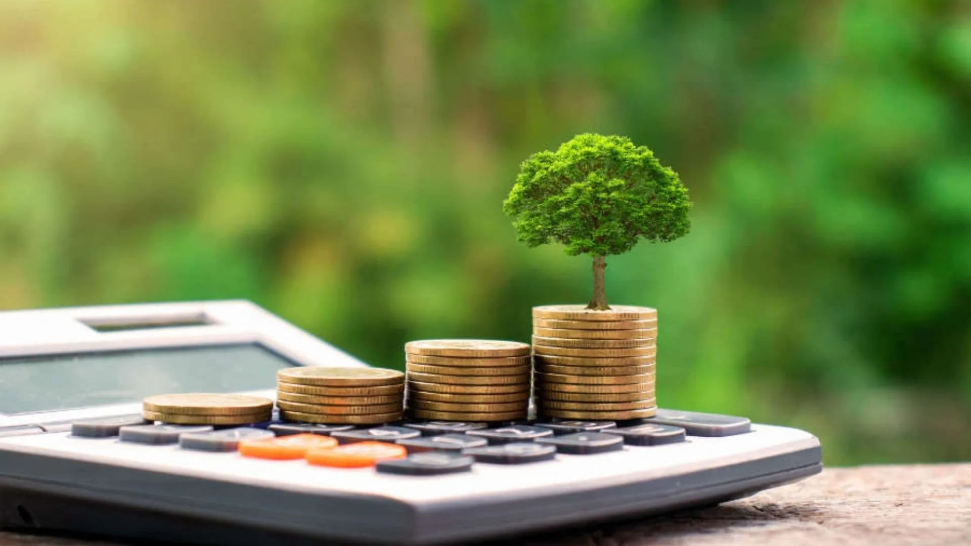 Coast FIRE Retirement: Achieving Financial Independence Without Stress 1 Coast FIRE Retirement Achieving Financial Independence Without Stress