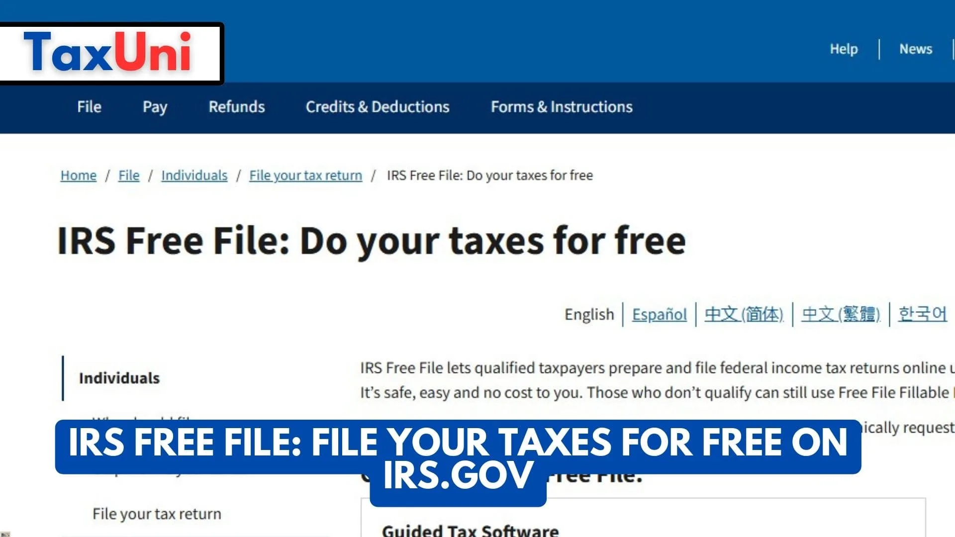 IRS Free File: File Your Taxes for Free on IRS.gov 1 IRS Free File File Your Taxes for Free on IRS.gov
