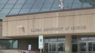 How to Set Up Payment Plan with Illinois Department of Revenue