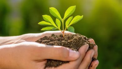 Is The IRS Fresh Start Program Legitimate A Complete Guide To Understanding This Tax Relief Option