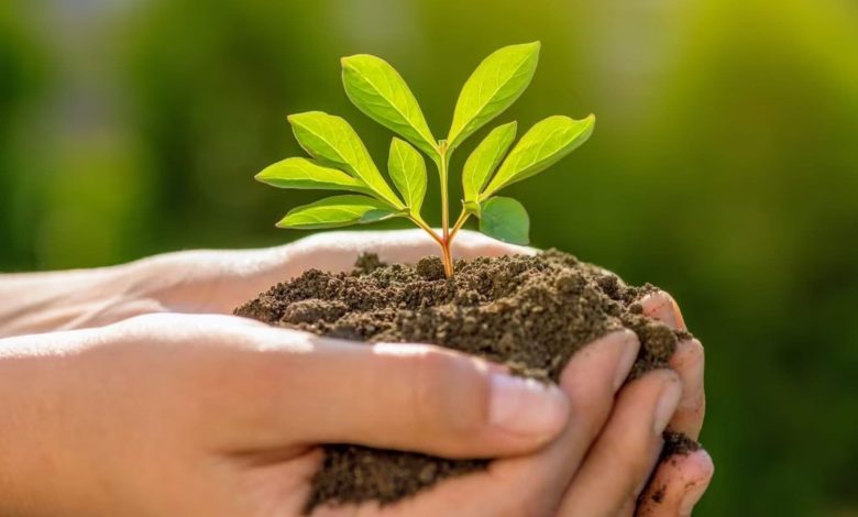 Is The IRS Fresh Start Program Legitimate? A Complete Guide To Understanding This Tax Relief Option 1 Is The IRS Fresh Start Program Legitimate A Complete Guide To Understanding This Tax Relief Option