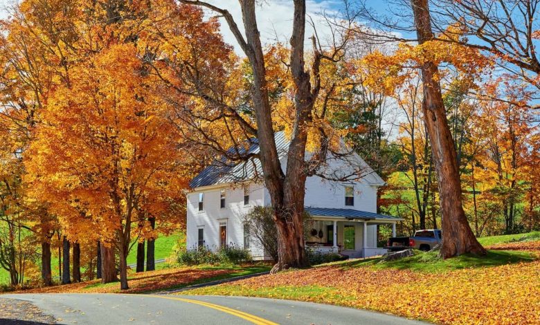 Vermont Real Estate Withholding Tax: What Sellers and Buyers Need to Know 1 Vermont Real Estate Withholding Tax What Sellers and Buyers Need to Know