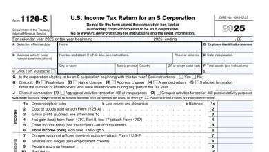 1120-S Form 19 1120-S Form