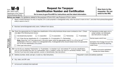 Form W-9 Instructions 19 Form W-9 Instructions