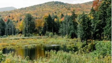 Vermont State Income Tax 18 Vermont State Income Tax