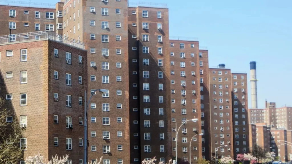 How to Renew NYCHA Application 2 Common Mistakes to Avoid During the Renewal Process