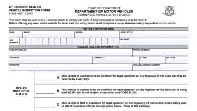 CT K208 Licensed Dealer Vehicle Inspection Form 18 CT K208 Licensed Dealer Vehicle Inspection Form