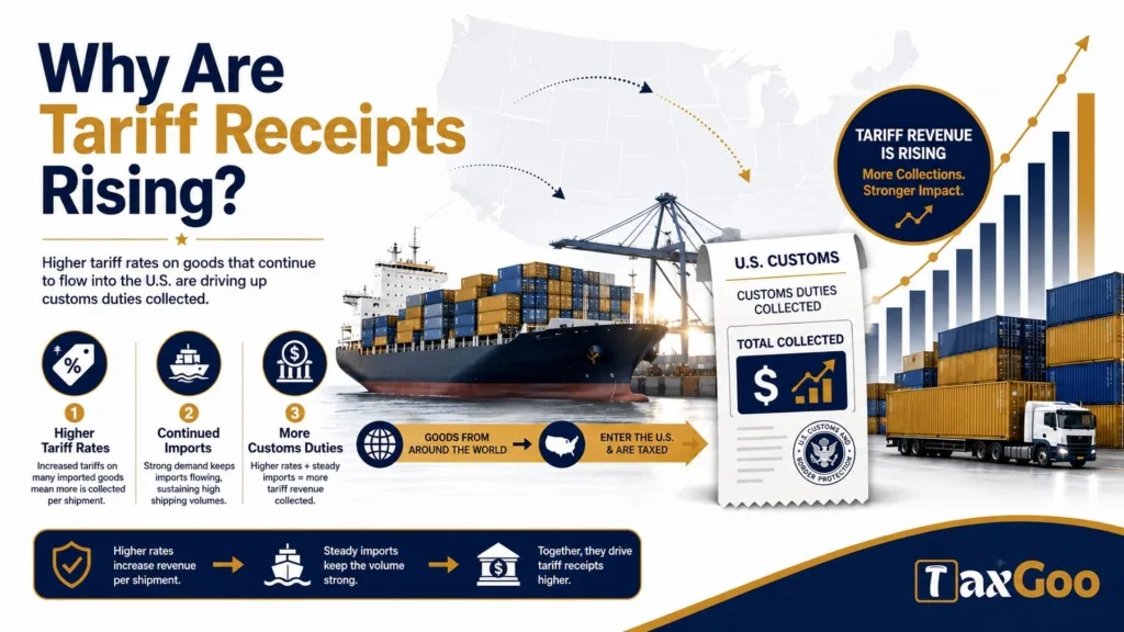 How Much Tariffs Are The US Receiving 2 Why Are Tariff Receipts Rising